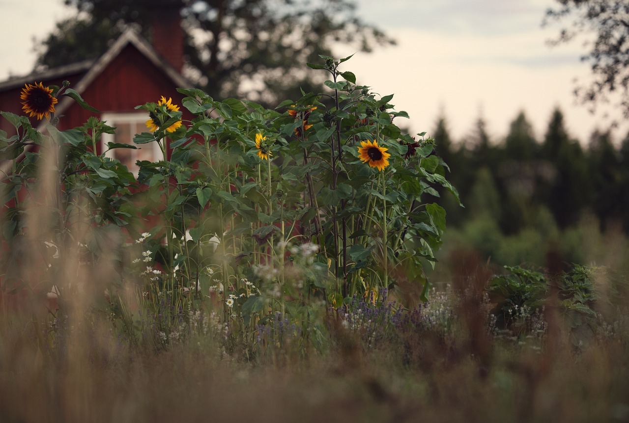 Effective Ways to Secure Your Backyard